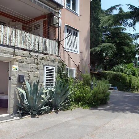 Comfy In Jb4 * Ankaran